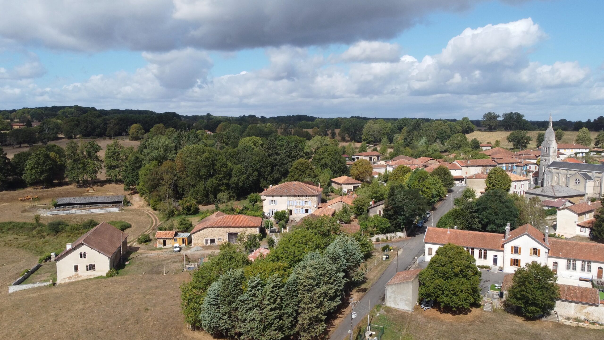 From Ruins to Resilience: My Château Renovation Journey